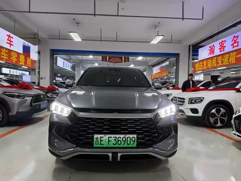 BYD Pro New Energy 2024 из CN, фото 2