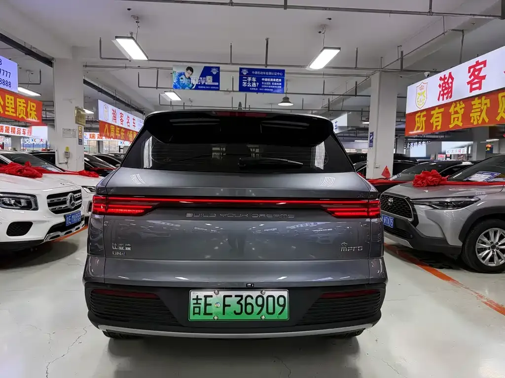 BYD Pro New Energy 2024 из CN, фото 5