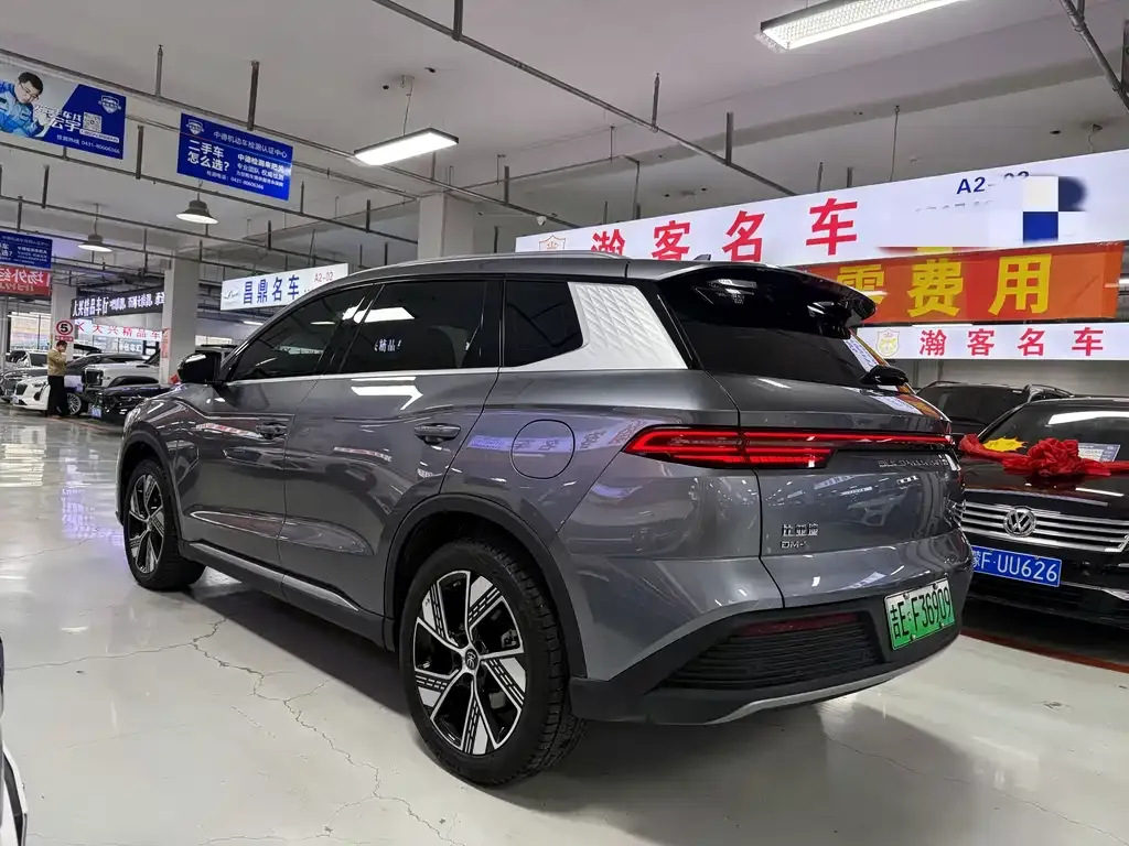 BYD Pro New Energy 2024 из CN, фото 6