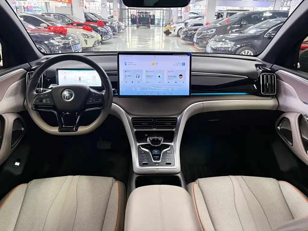 BYD Pro New Energy 2024 из CN, фото 8