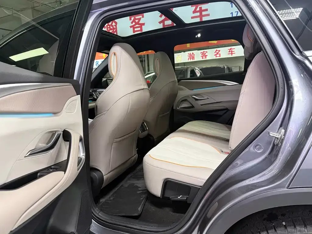 BYD Pro New Energy 2024 из CN, фото 9