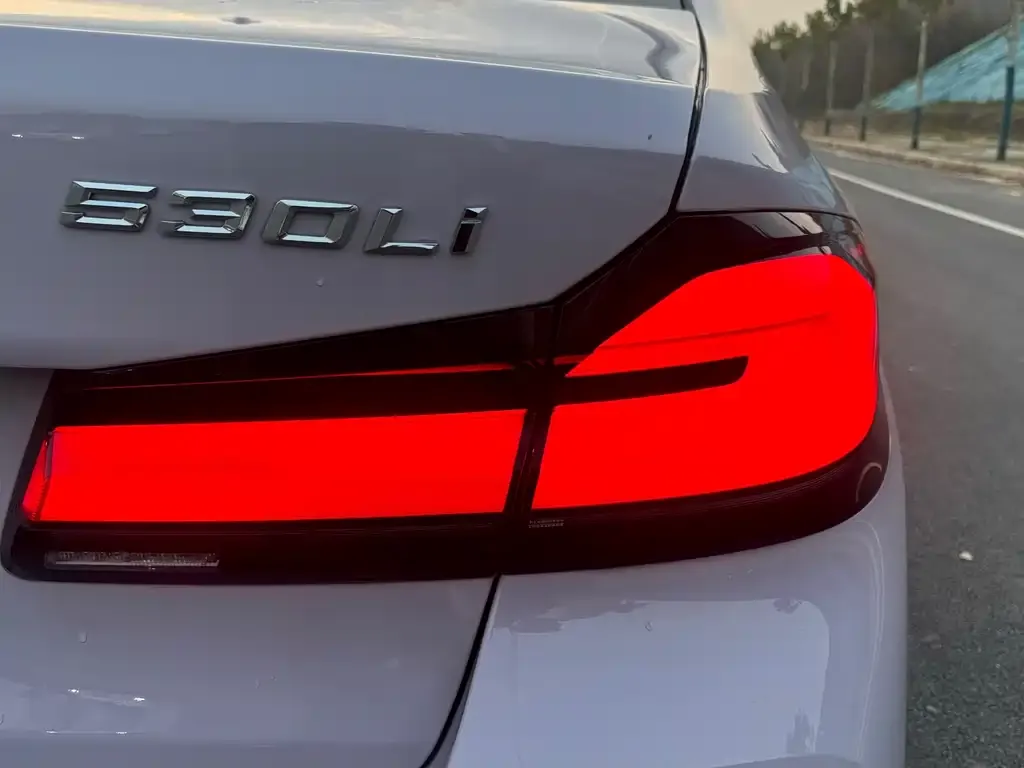 BMW 5 Series 2023 из CN, фото 10
