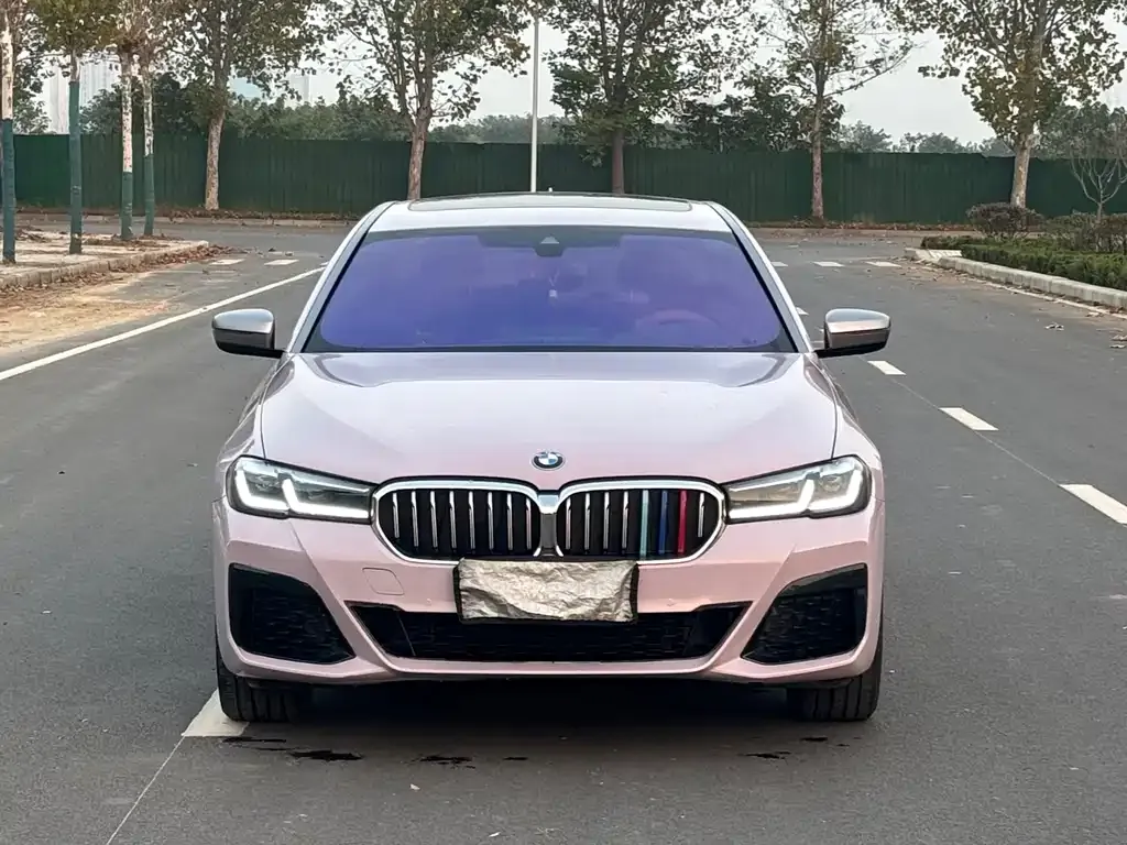 BMW 5 Series 2023 из CN, фото 2