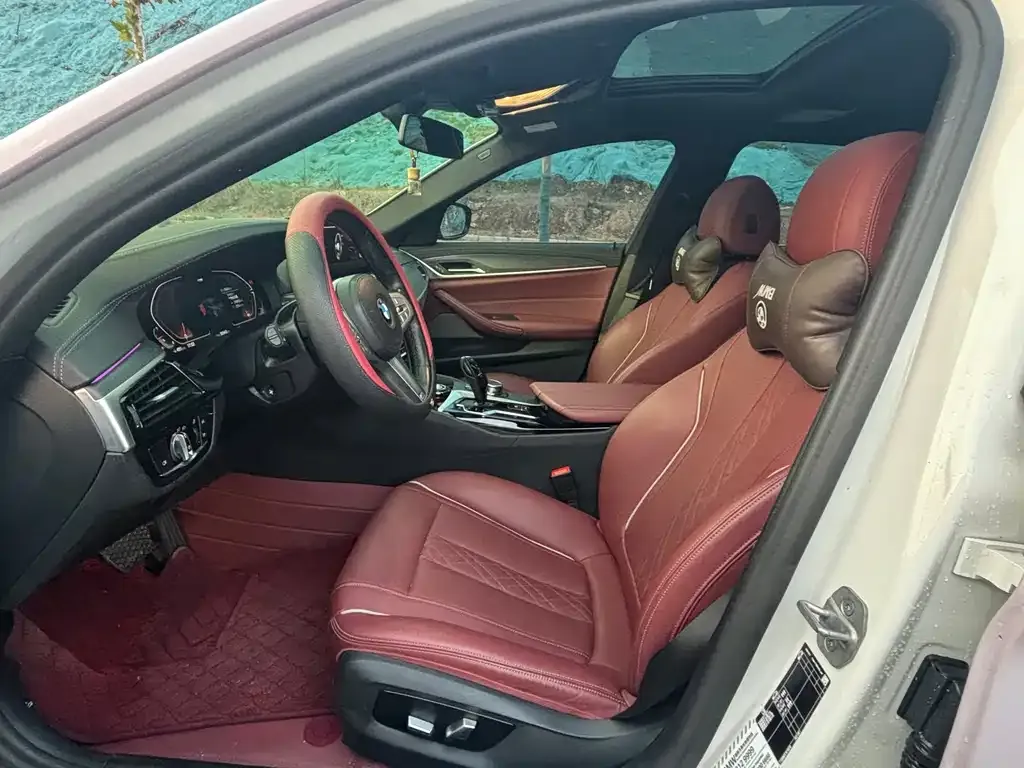 BMW 5 Series 2023 из CN, фото 4