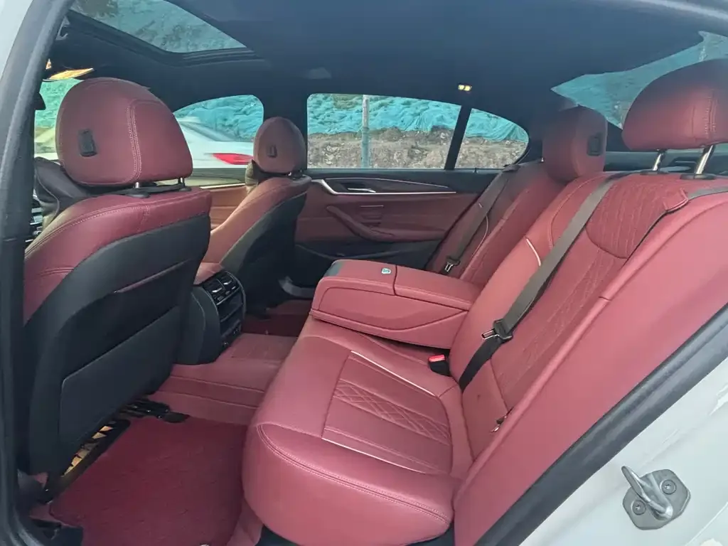 BMW 5 Series 2023 из CN, фото 6