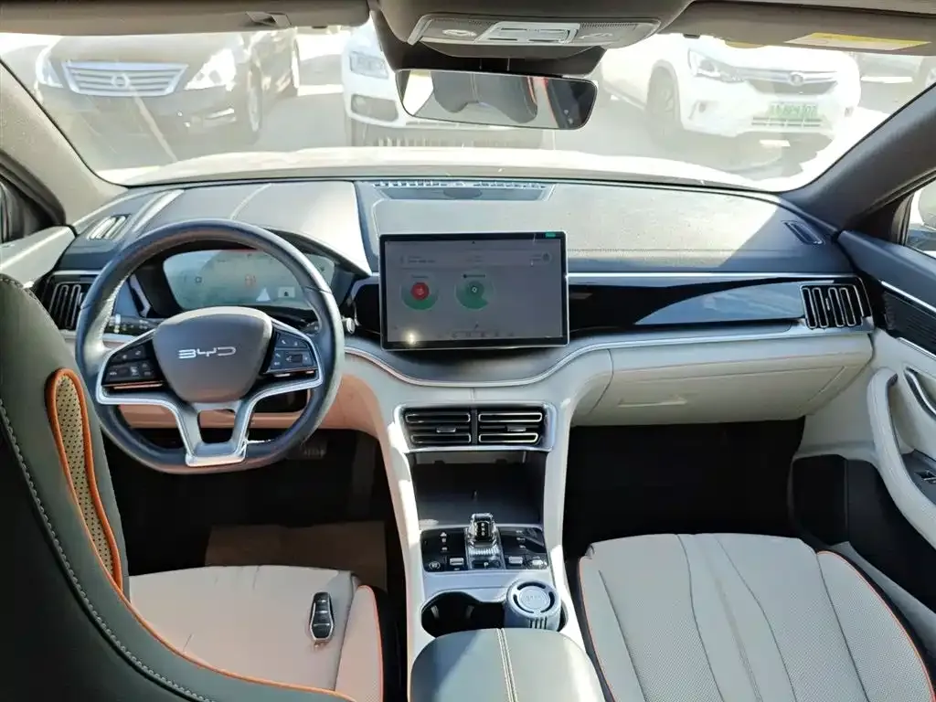 BYD PLUS New Energy — фото 10