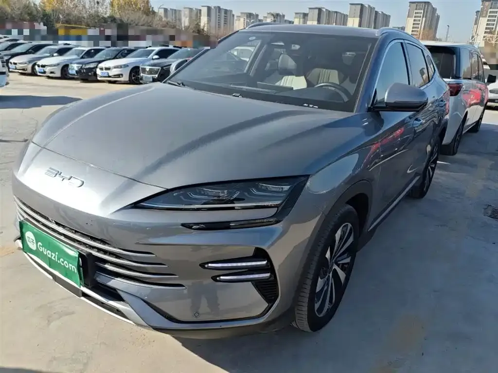 BYD PLUS New Energy — фото 2
