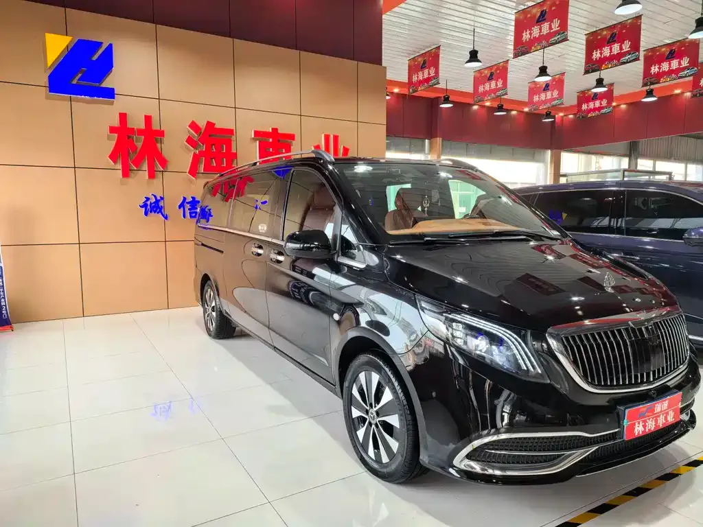 Mercedes-Benz Vito 2022 из CN, фото 3