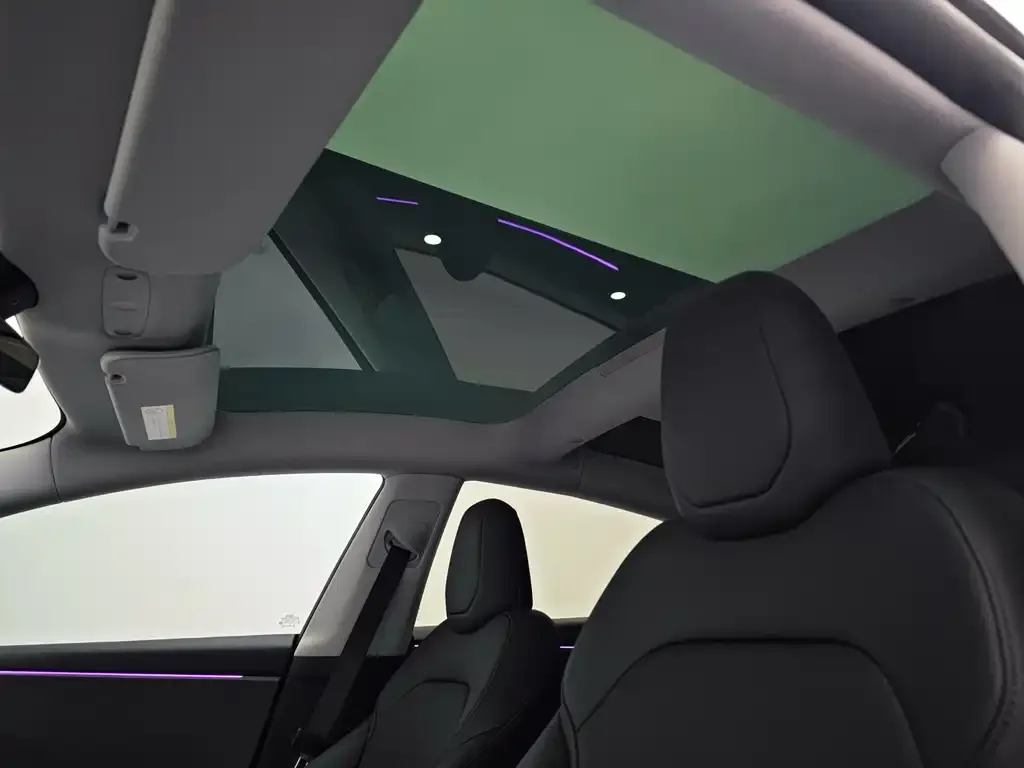 Tesla Model 3 2025 из CN, фото 7