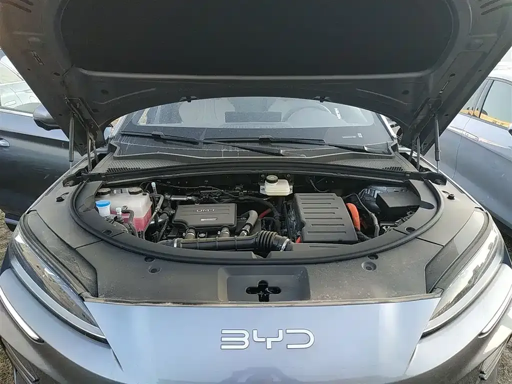 BYD PLUS New Energy — фото 10