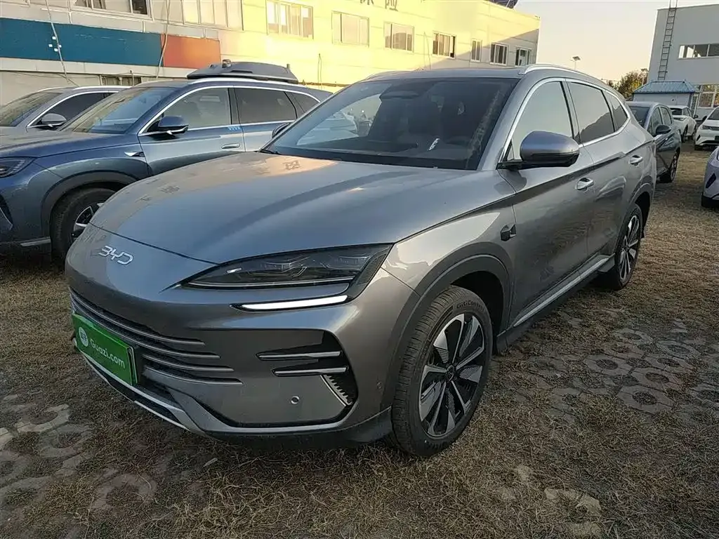 BYD PLUS New Energy — фото 2