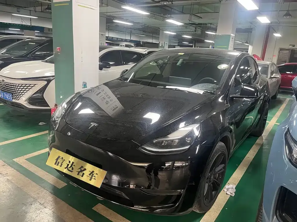 Tesla Model Y 2021 из CN, фото 1
