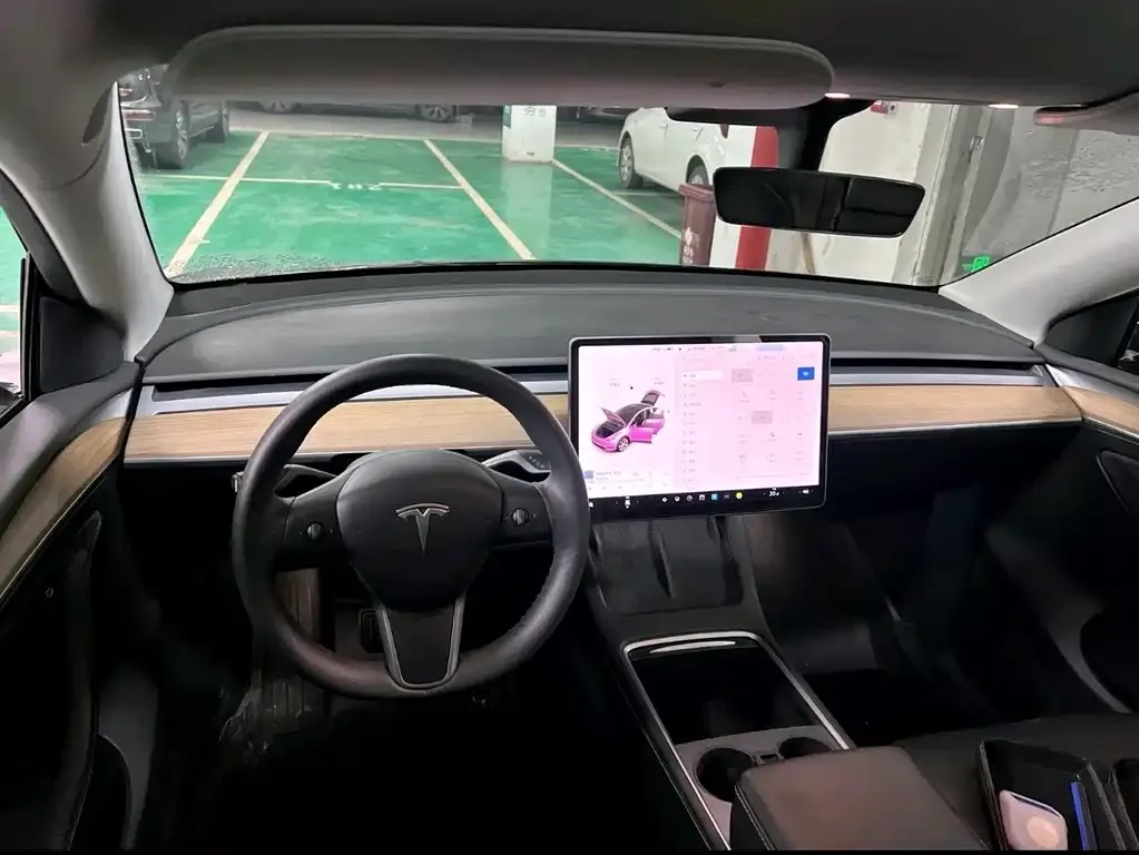 Tesla Model Y 2021 из CN, фото 5