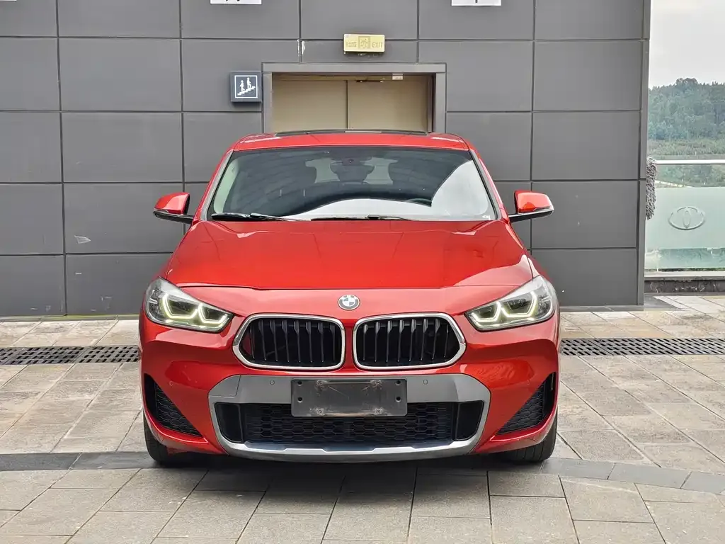 BMW X2 2022 из CN, фото 2