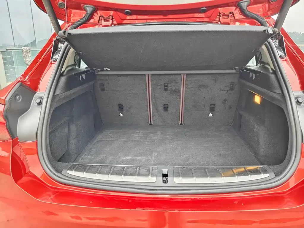 BMW X2 2022 из CN, фото 8
