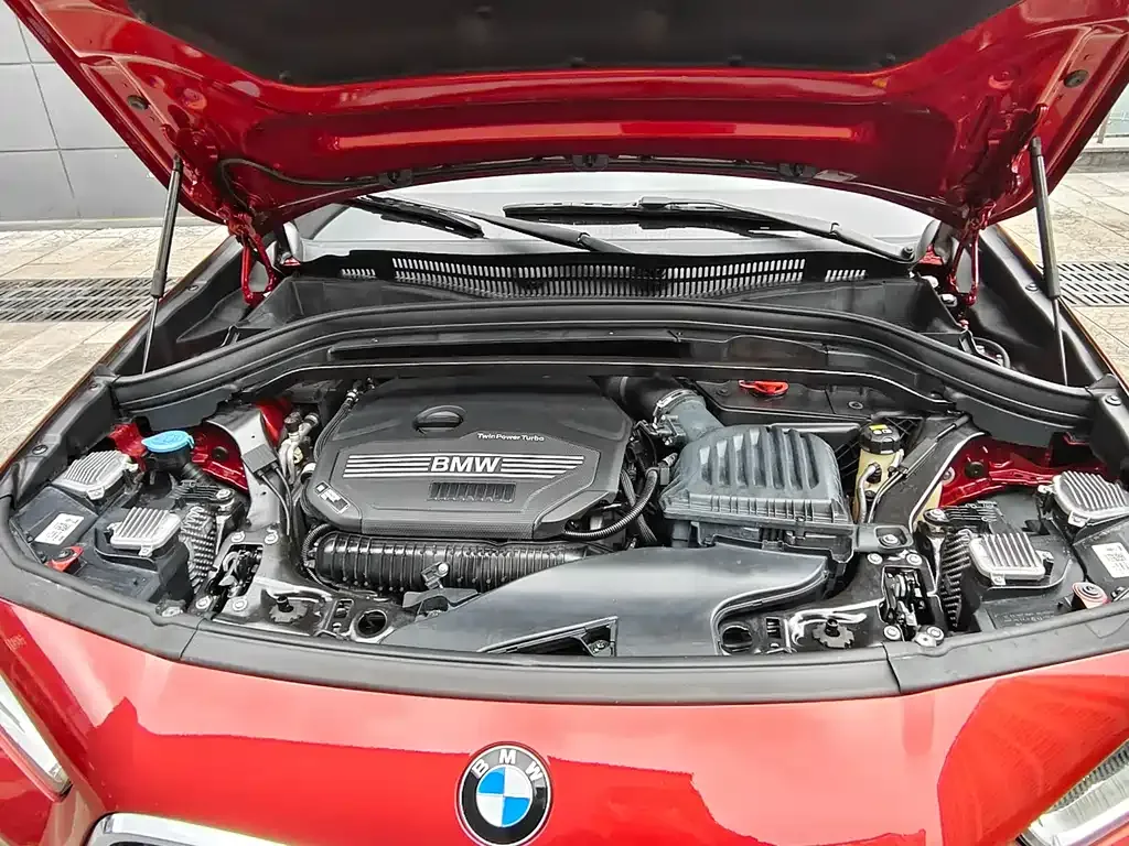 BMW X2 2022 из CN, фото 9