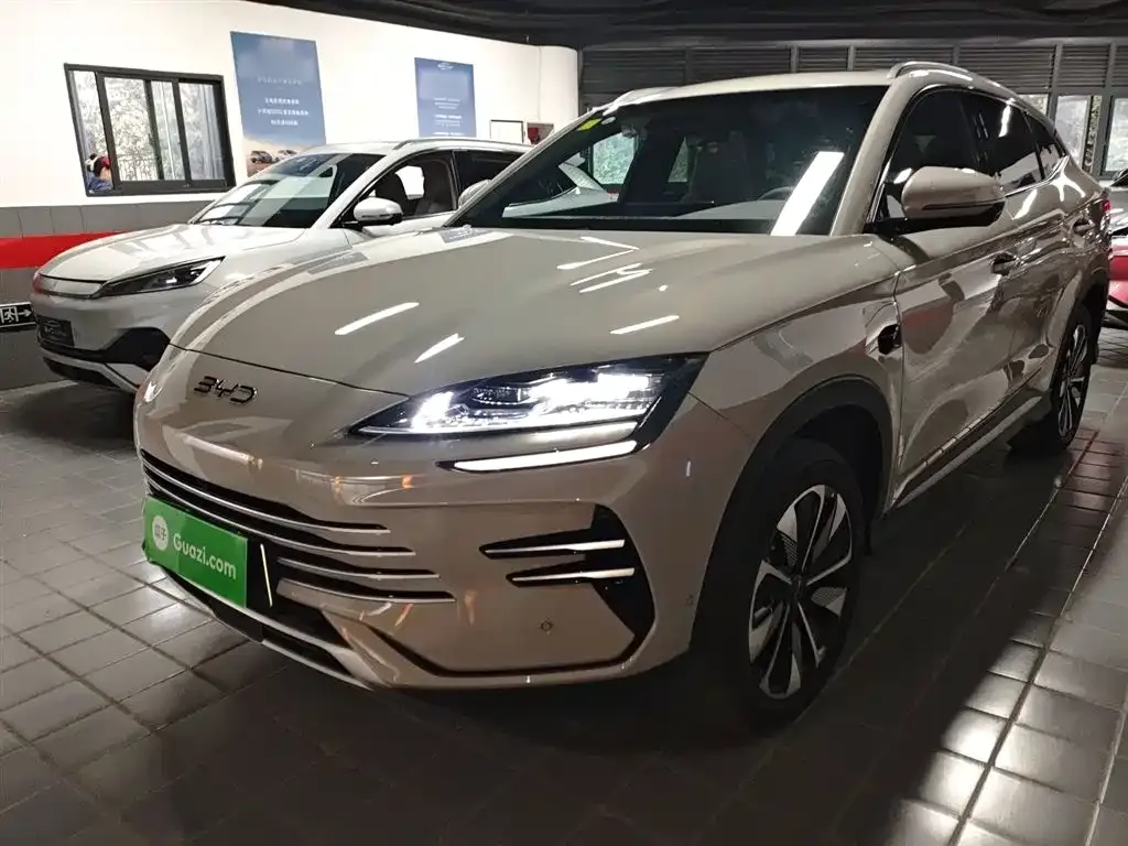BYD PLUS New Energy — фото 2