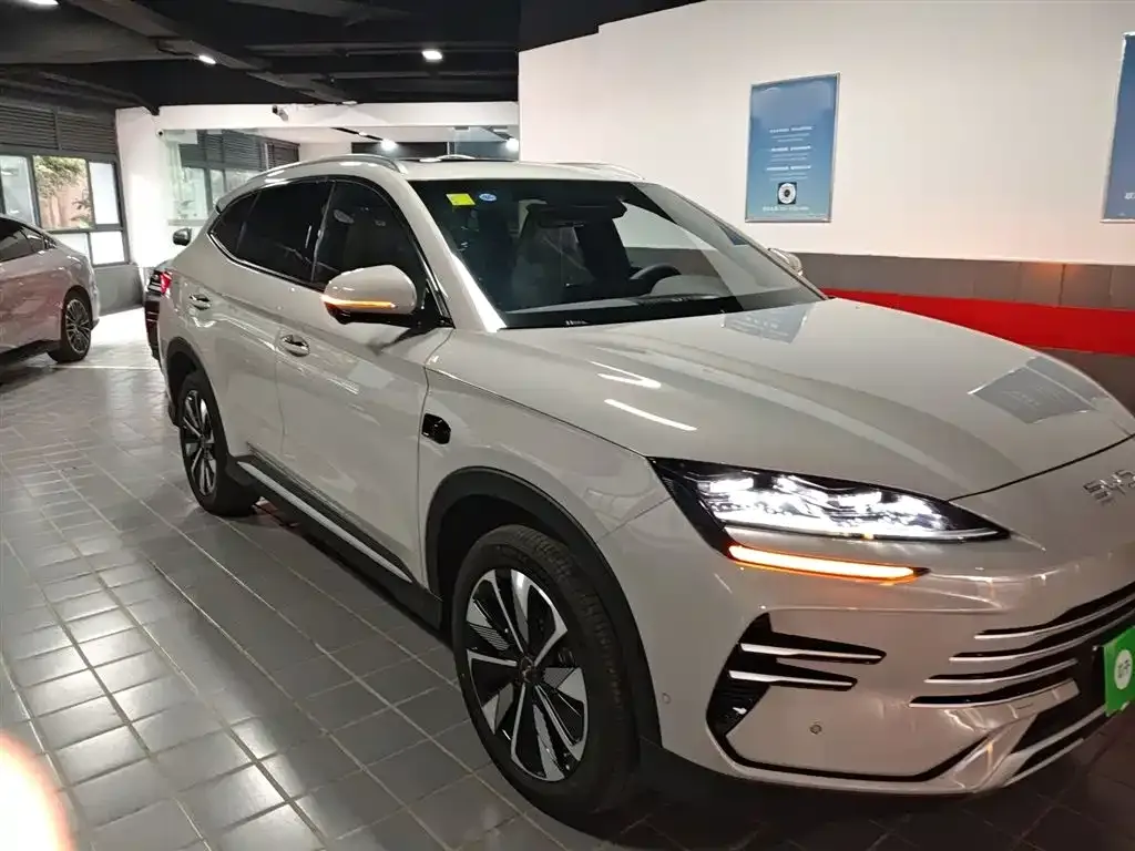 BYD PLUS New Energy — фото 4