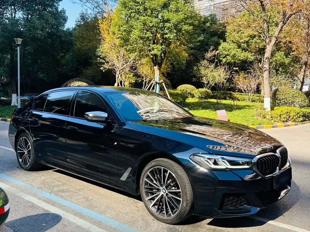 BMW 5 Series 2021 из CN, фото 3