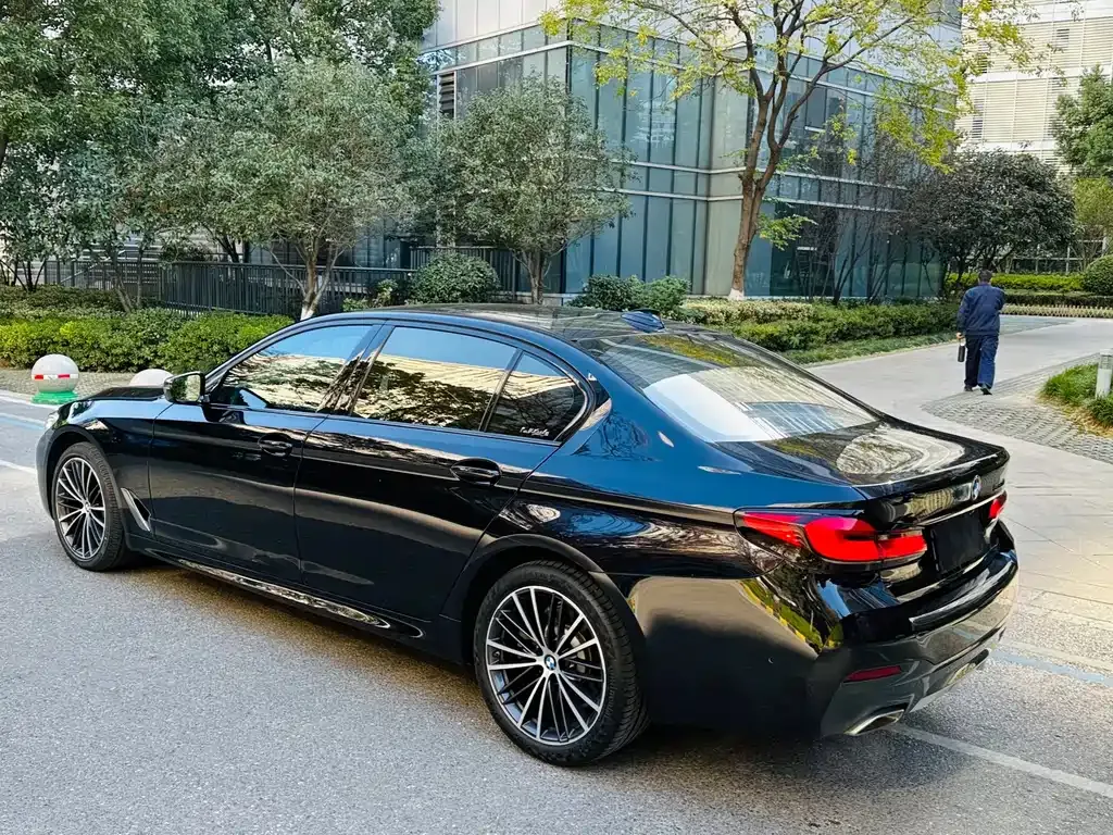 BMW 5 Series 2021 из CN, фото 5