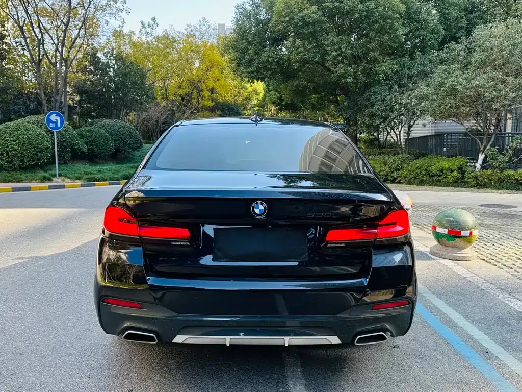 BMW 5 Series 2021 из CN, фото 6
