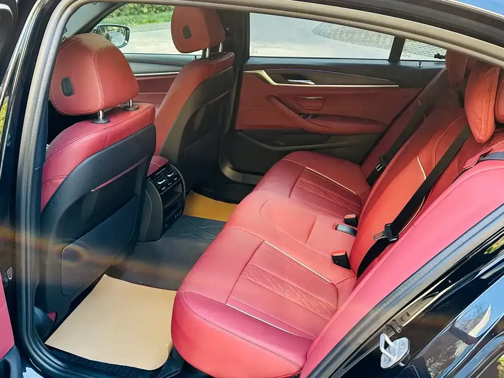 BMW 5 Series 2021 из CN, фото 8