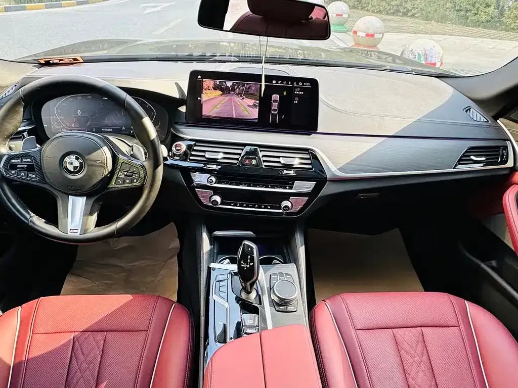 BMW 5 Series 2021 из CN, фото 9