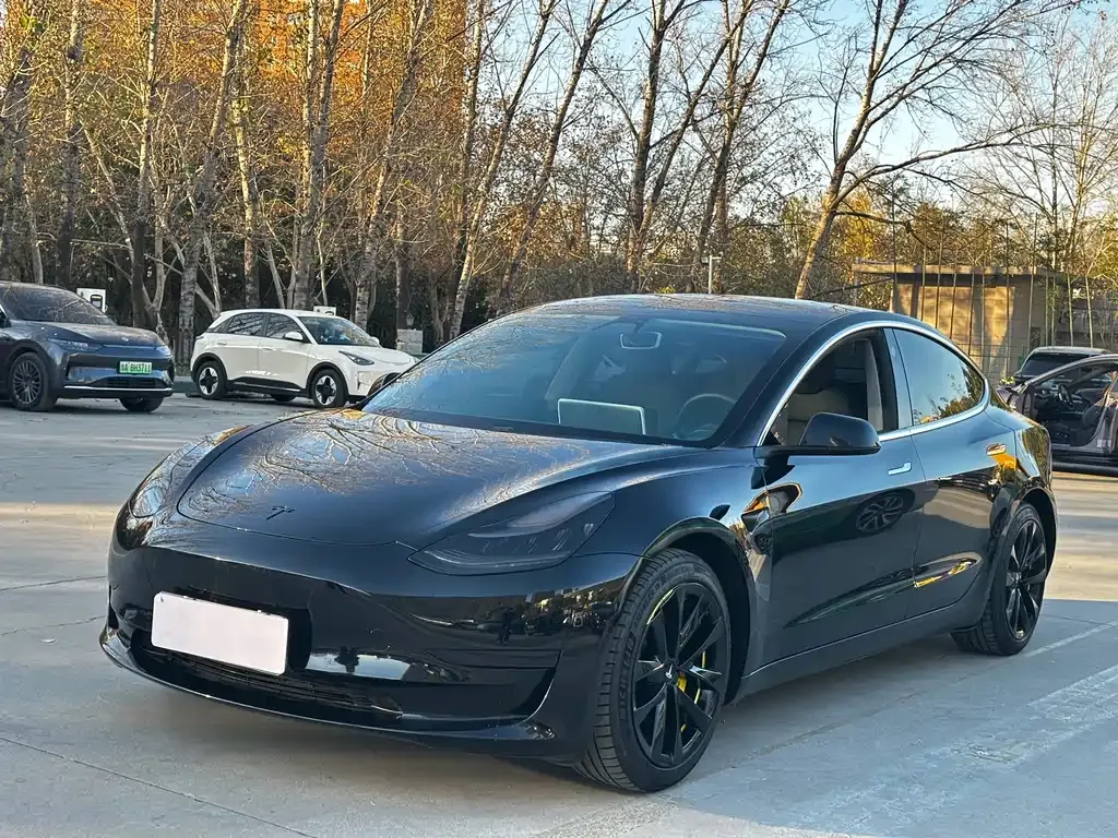 Tesla Model 3 2021 из CN, фото 1