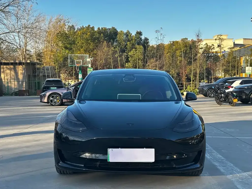Tesla Model 3 2021 из CN, фото 2
