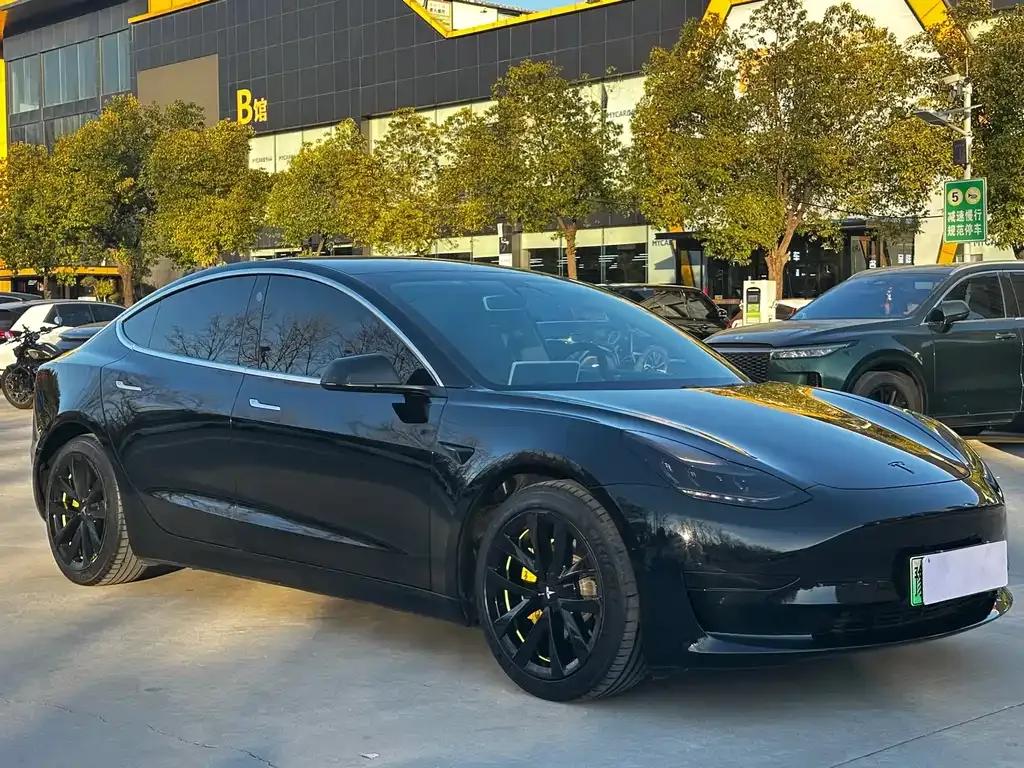 Tesla Model 3 2021 из CN, фото 3