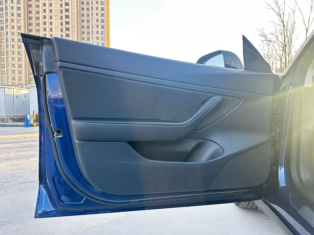 Tesla Model 3 2021 из CN, фото 4