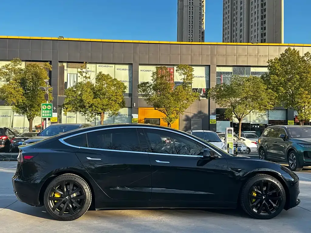 Tesla Model 3 2021 из CN, фото 5