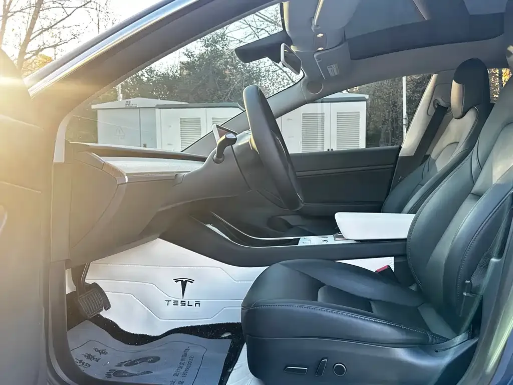 Tesla Model 3 2021 из CN, фото 7