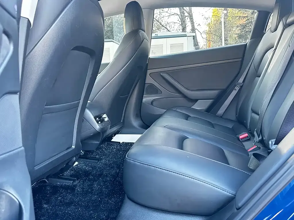 Tesla Model 3 2021 из CN, фото 8
