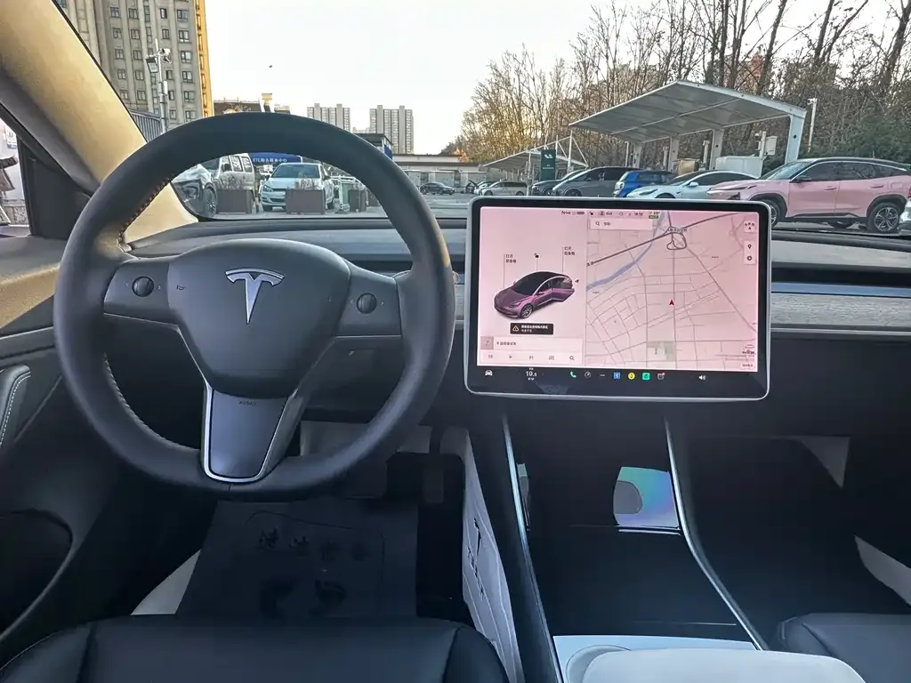 Tesla Model 3 2021 из CN, фото 9