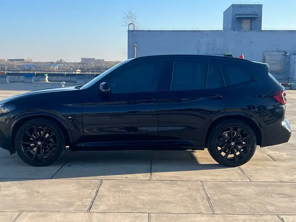 BMW X3 2022 из CN, фото 6