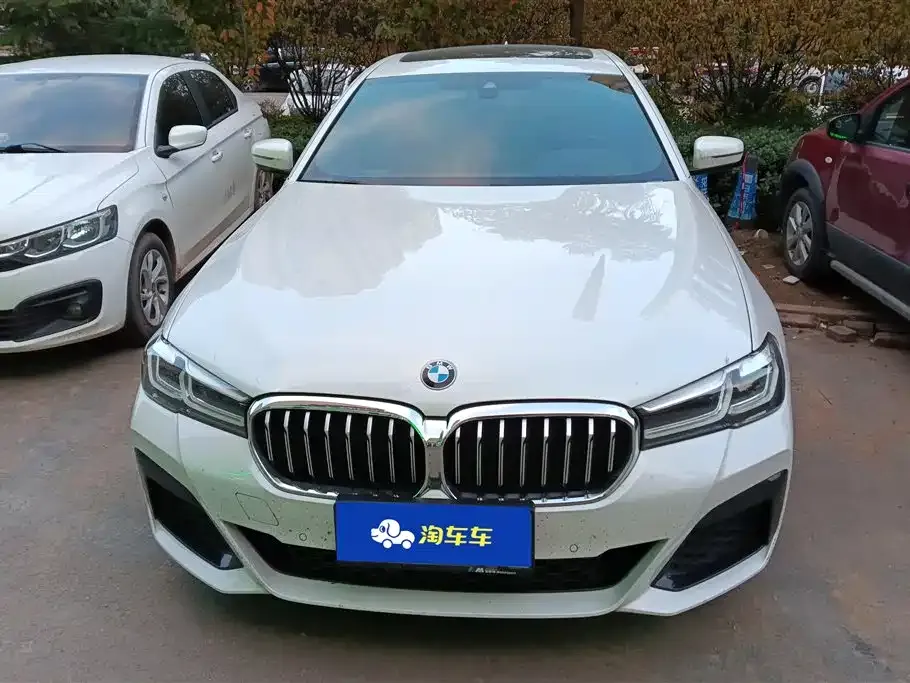 BMW 5 Series 2022 из CN, фото 2