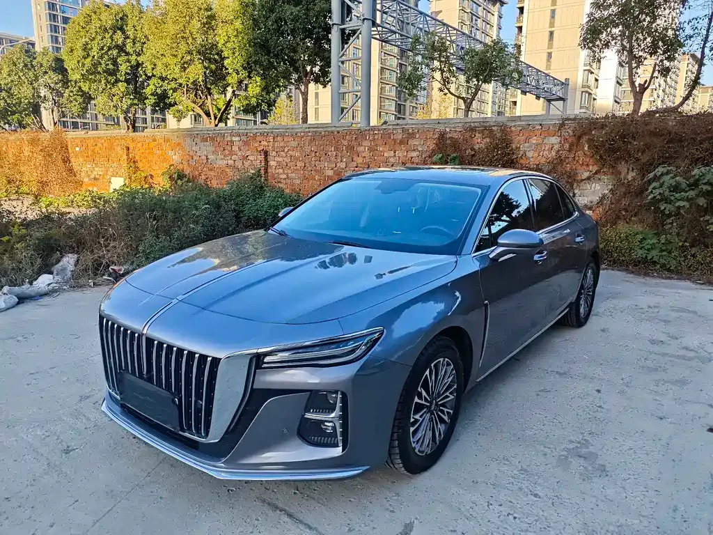 Hongqi H5 2023 из CN, фото 2