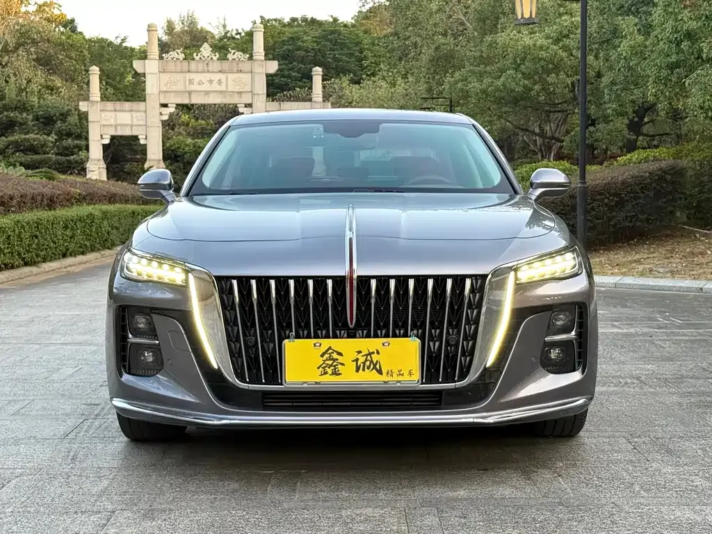 Hongqi H5 2022 из CN, фото 3