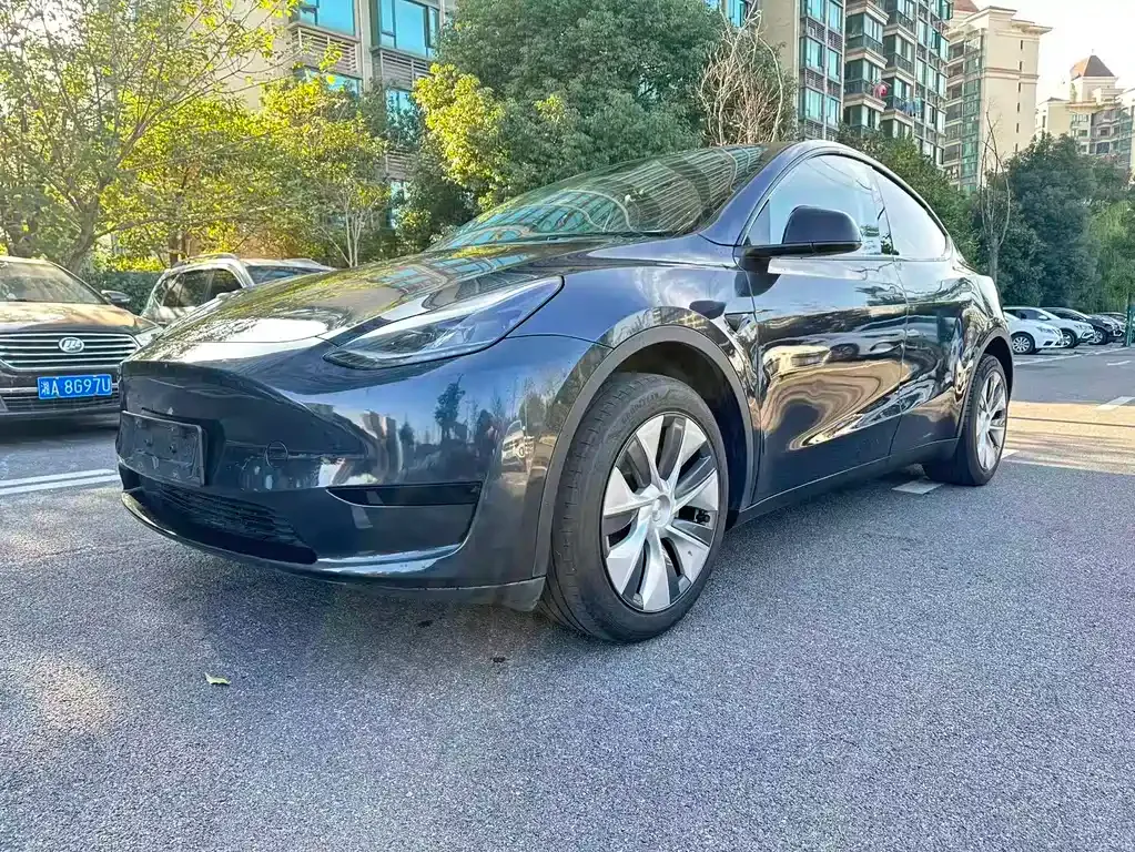 Tesla Model Y — фото 1