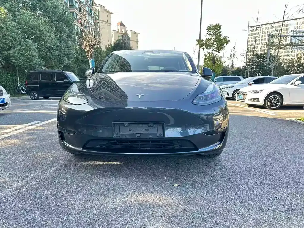 Tesla Model Y — фото 2