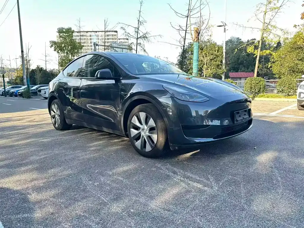 Tesla Model Y — фото 3