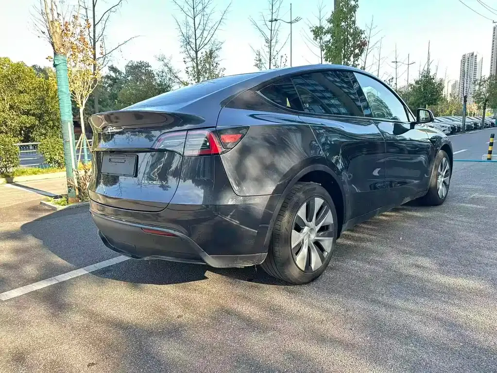 Tesla Model Y — фото 7
