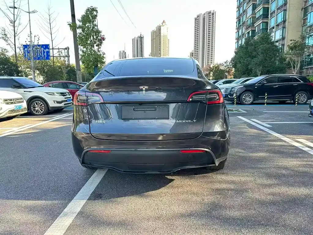 Tesla Model Y — фото 8