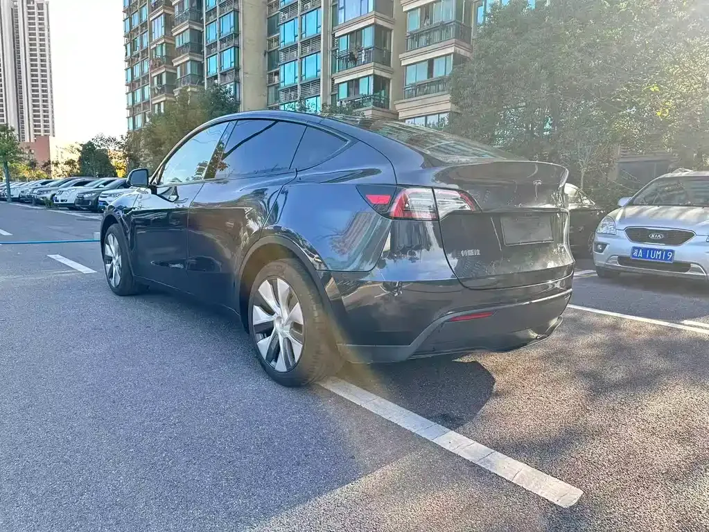 Tesla Model Y — фото 9