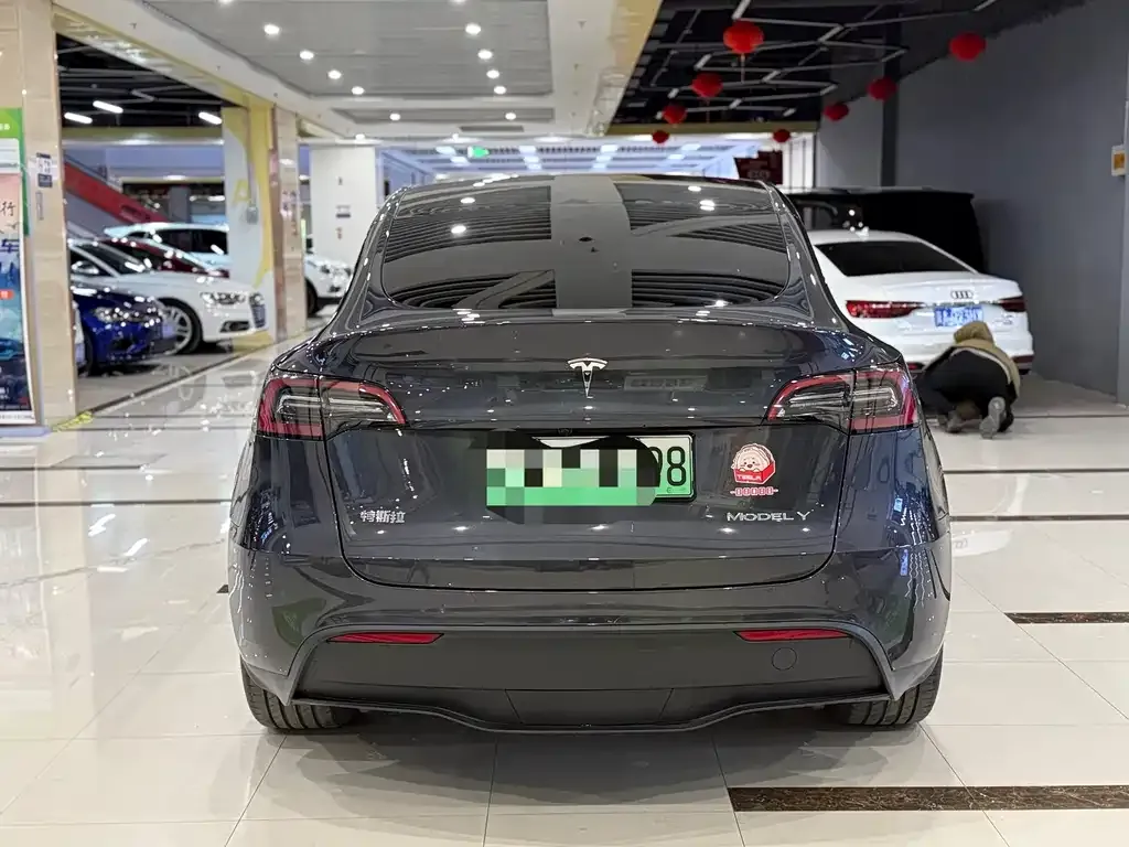 Tesla Model Y — фото 8