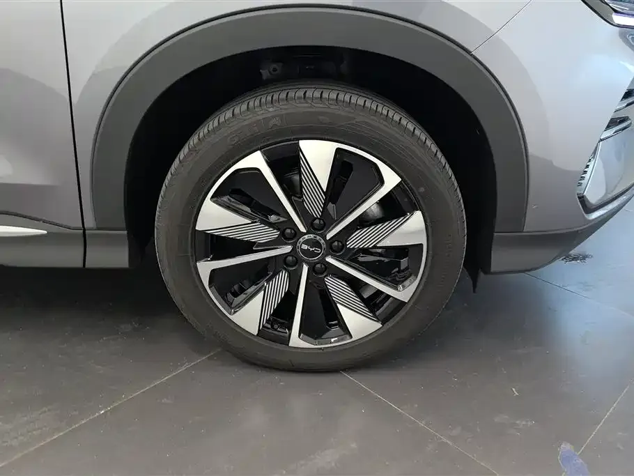 BYD PLUS New Energy — фото 6