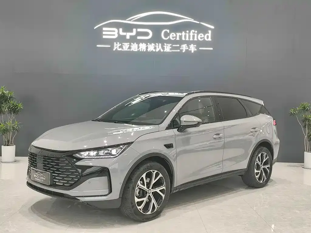 BYD Tang New Energy — фото 1
