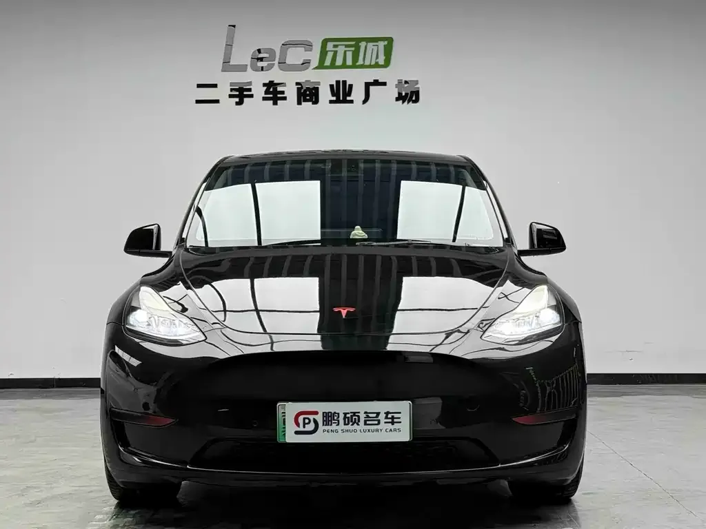 Tesla Model Y 2023 из CN, фото 2