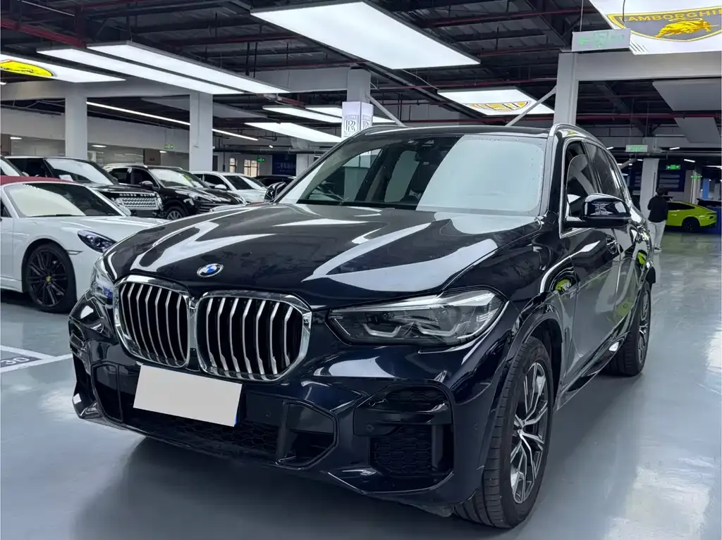 BMW X5 (Import) — фото 1